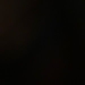 Meet your Posher, Lee